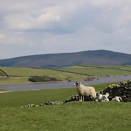 Moor View